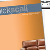 nickscali annual report 2007